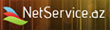 “Net Service” “Net Service”
